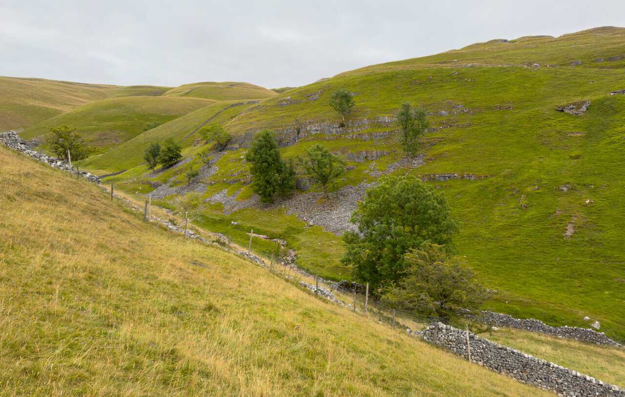 Scree and scattered trees on the steep hillside above Dowber Gill Beck near Kettlewell.