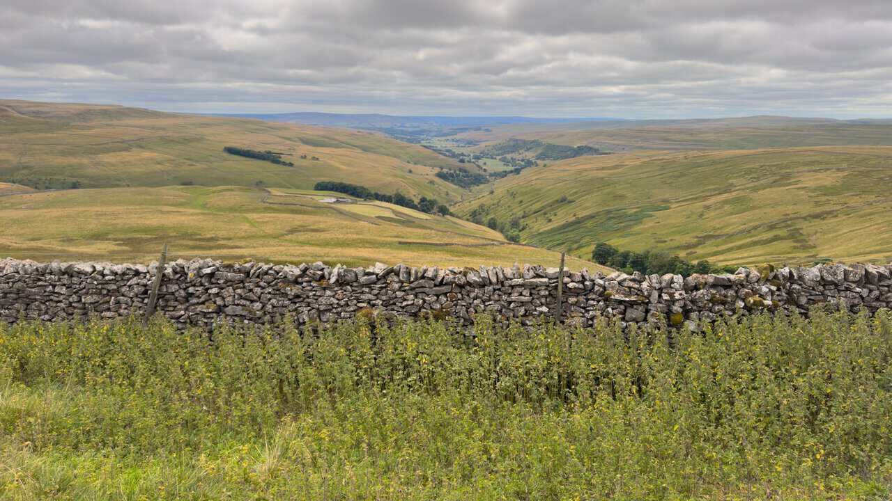 A dry stone wall with the view stretching down the valley into Wharfedale on the Great Whernside circular walk.
