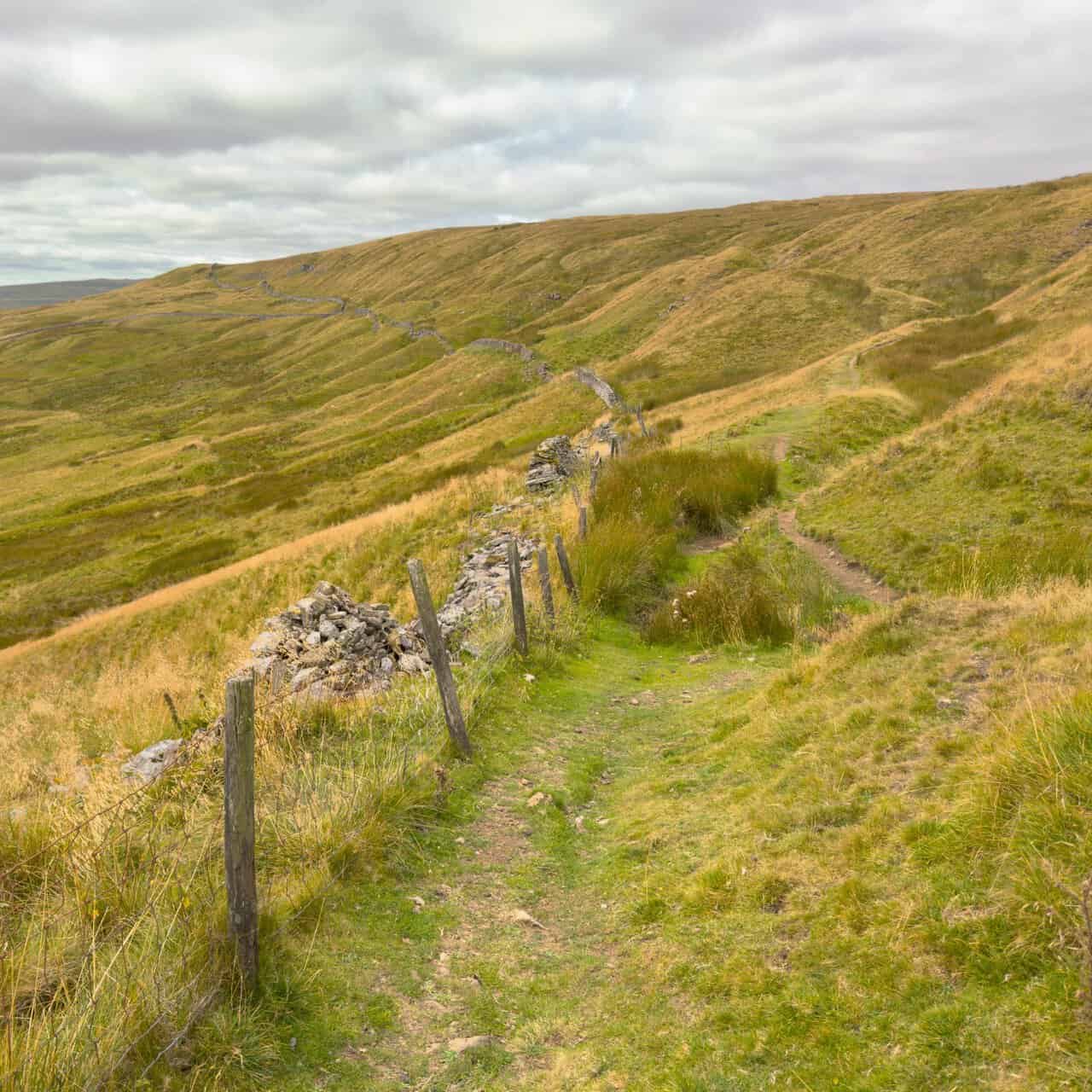 A narrow path running beside a collapsed dry stone wall and a line of fence posts across the hillside.