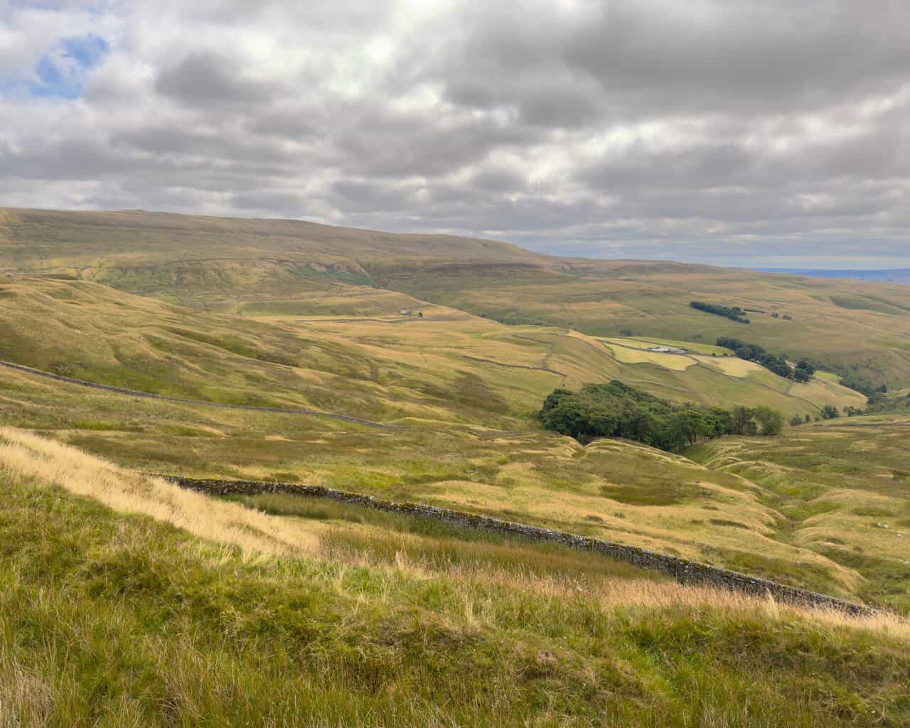 A broad moorland view with a dry stone wall in the foreground and Great Whernside on the skyline.