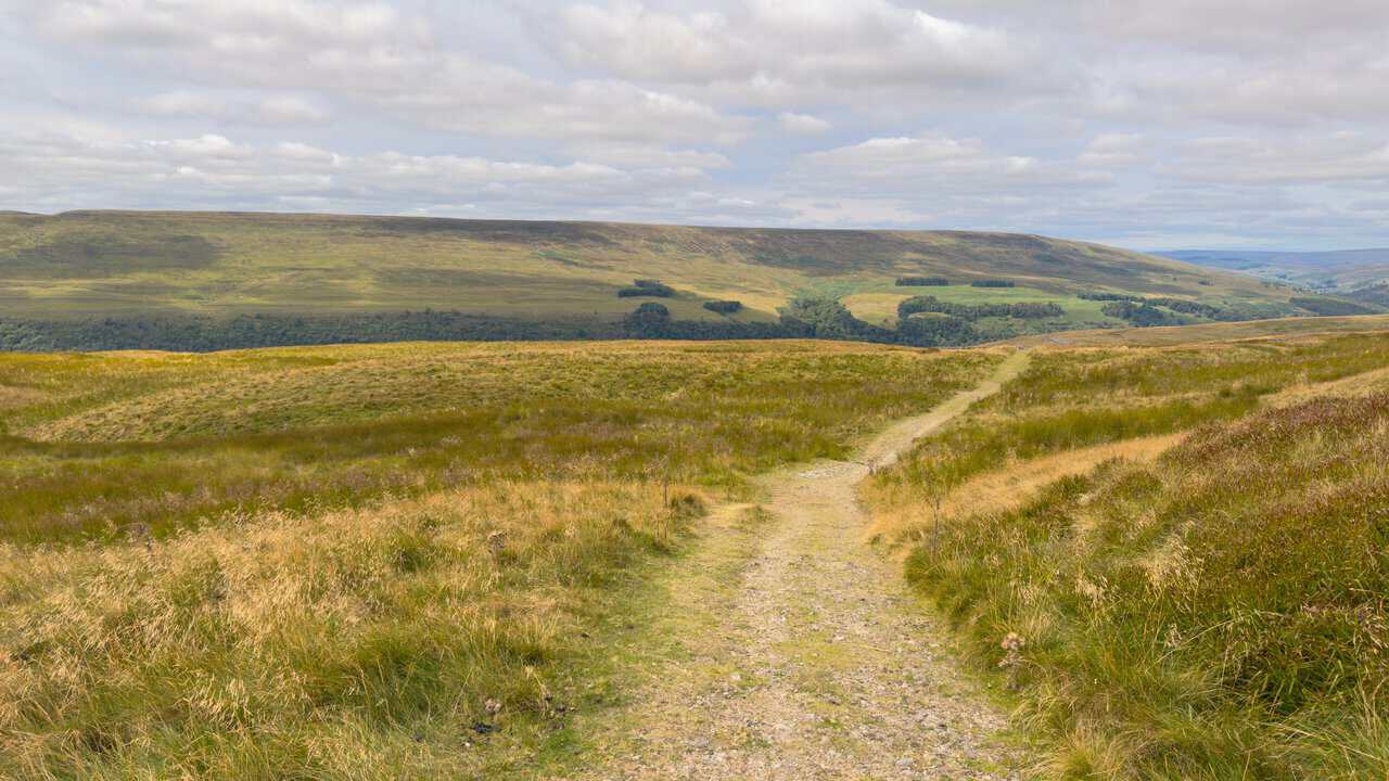 The grassy bridleway crossing Sandy Gate on the Great Whernside circular walk, with Birks Fell rising opposite.