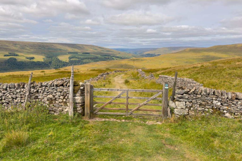 Great Whernside Circular Walk: Starbotton and the River Wharfe.
Saturday 15 August 2026.
Yorkshire Dales.
9 miles.