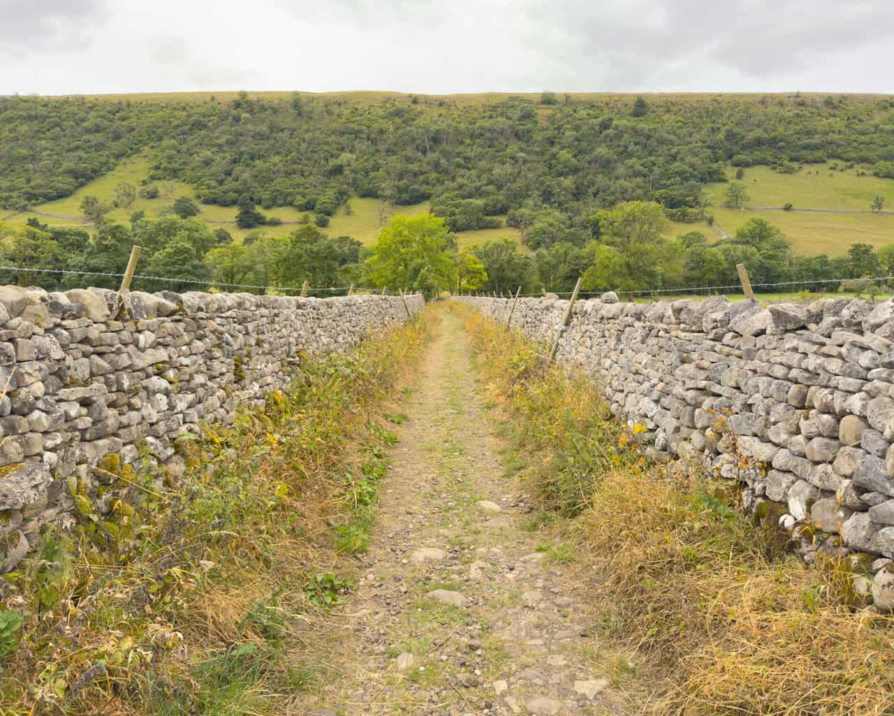 A straight bridleway enclosed by dry stone walls, heading down towards the River Wharfe.