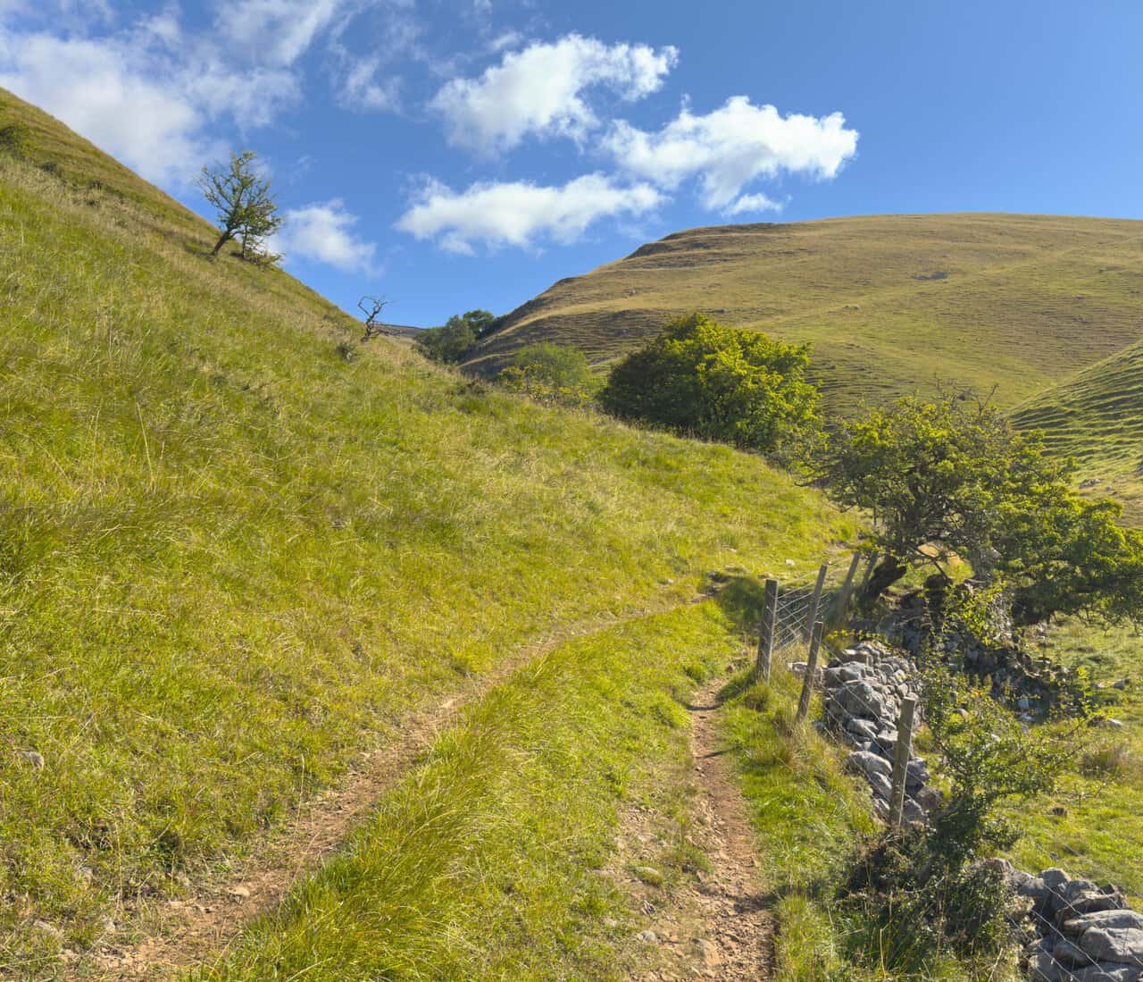 A narrow path climbing through the Dowber Gill Beck valley, with a dry stone wall and old hawthorns to the right.