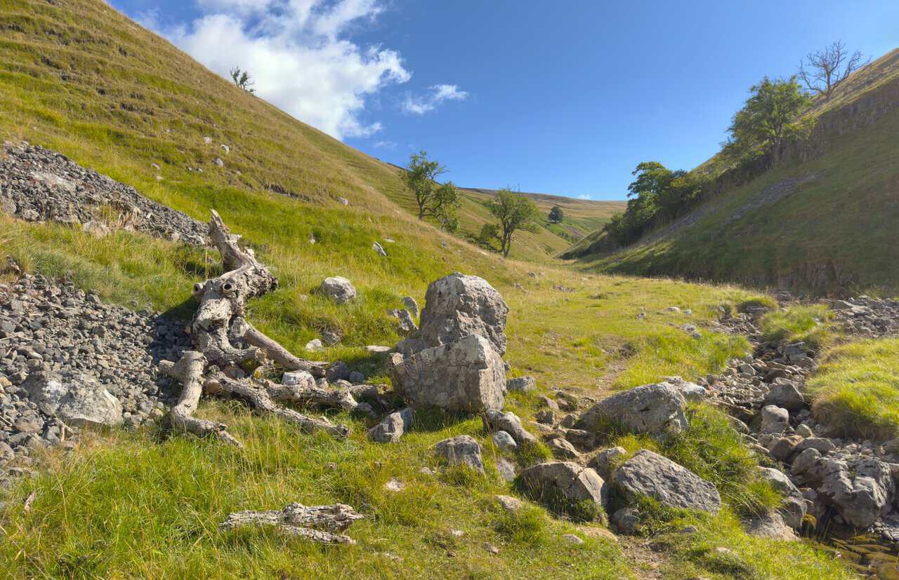Limestone boulders and a bleached fallen tree on the valley floor early in the Great Whernside walk.