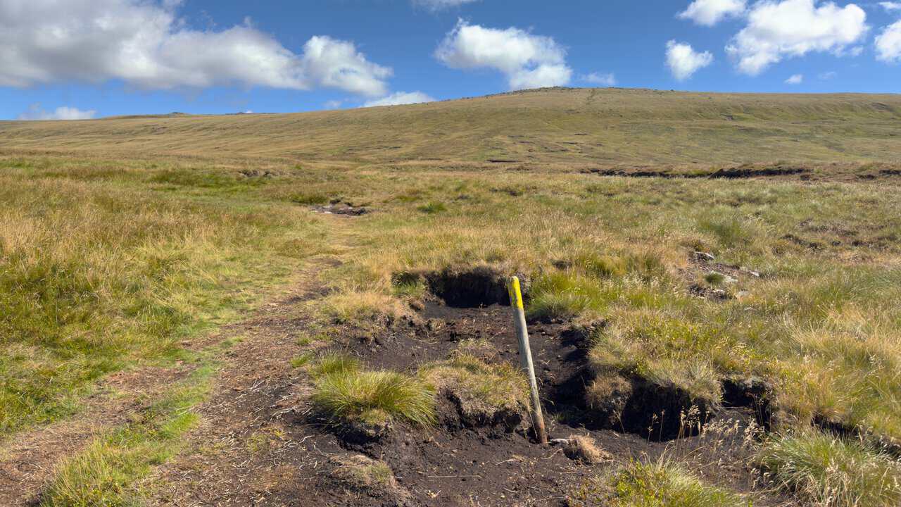 A wooden post with a yellow painted top marking the peaty path on the Great Whernside walk, with the summit rising ahead.