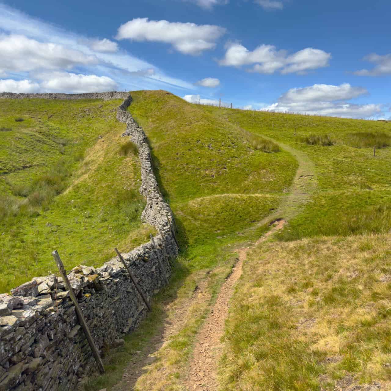 A grassy path running beside a dry stone wall as it climbs over the shoulder of the fell.