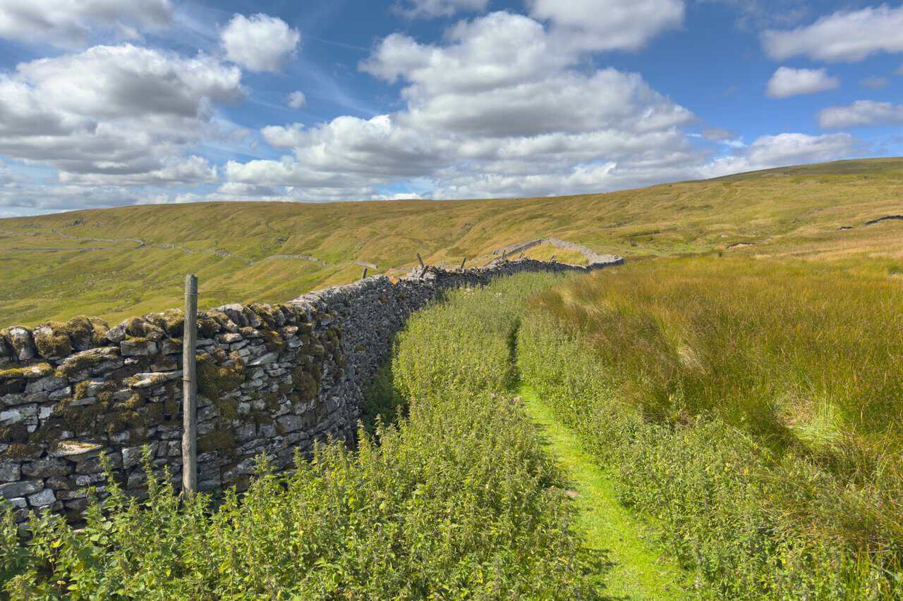 A moss-covered dry stone wall guiding the route around the head of the valley on the Great Whernside walk.