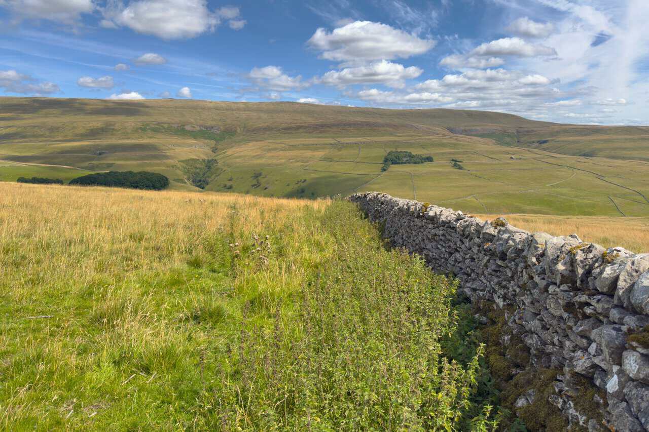 A dry stone wall lining up almost exactly with the summit of Great Whernside, seen from the descent on the Great Whernside walk.