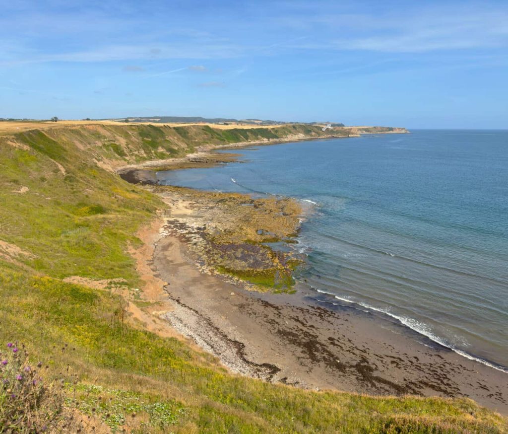 Scarborough Walk: Cliff Tops, the Cinder Track and Peasholm Park.
Sunday 2 August 2026.
Yorkshire Coast.
8 miles.