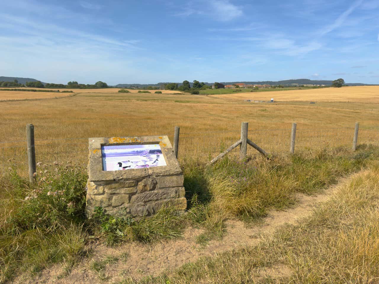 A stone plinth holding the Scalby Lodge Pond information board, set beside a wire fence with dry summer fields stretching inland.