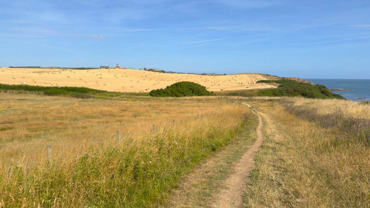 A thin trodden path through cliff-top grass, with a harvested field of round bales rising ahead and the sea to the right.
