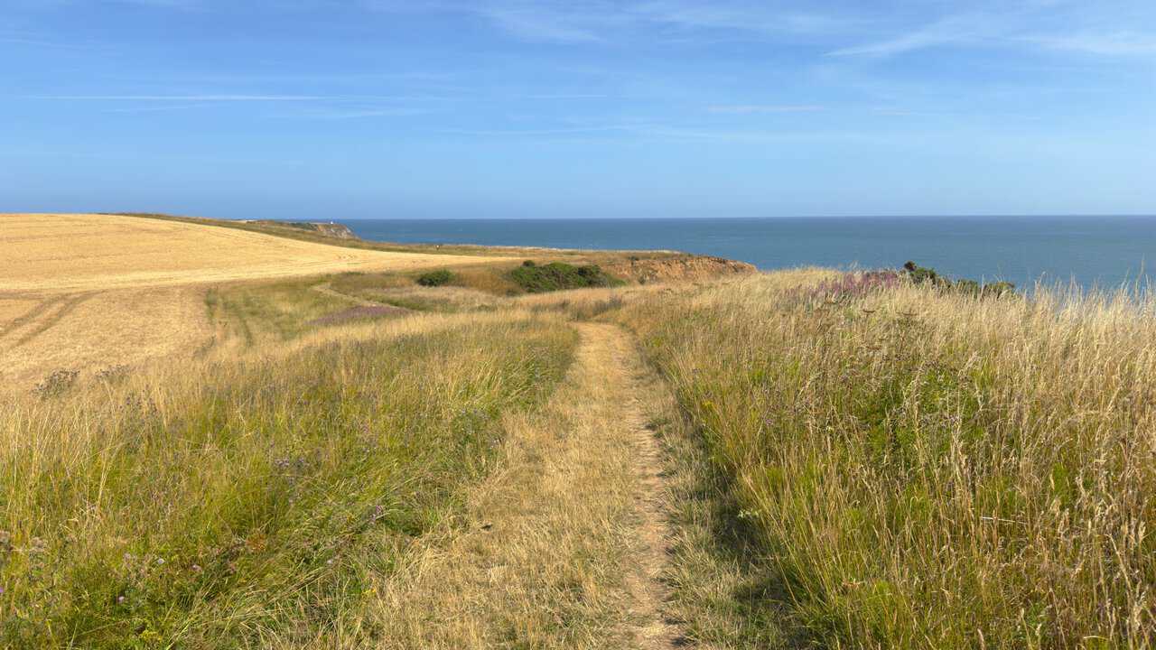 The narrow grass path along the cliff edge on my Scarborough walk, shared here by both the Cleveland Way and the King Charles III England Coast Path.