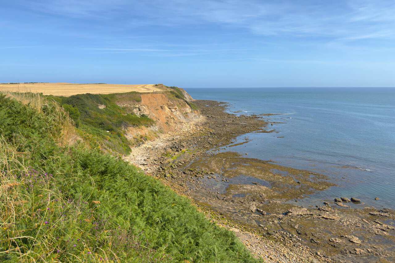 Layered orange and grey cliffs near Crook Ness, with bracken along the path edge and a wide rocky shore exposed at low tide.