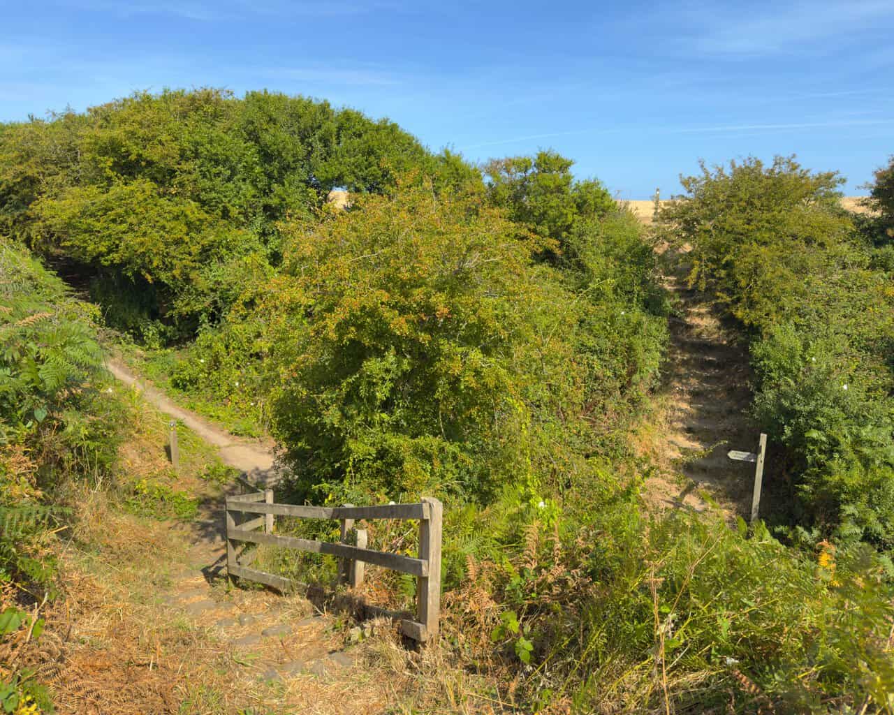 Worn steps and a wooden fence at Crook Ness, where a signpost points inland towards Burniston Village between the hawthorns.
