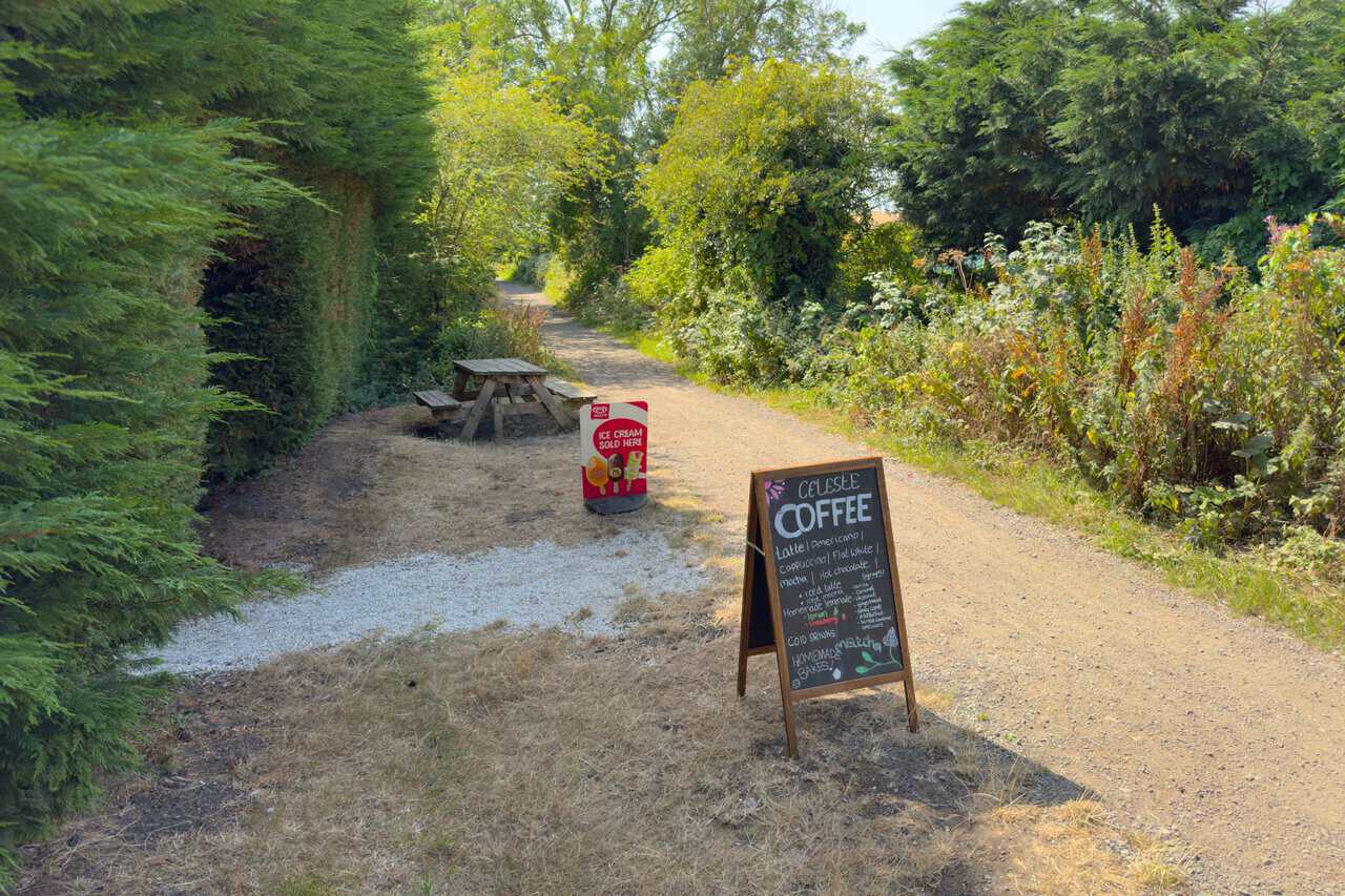 A blackboard advertising coffee and homemade cakes beside the Cinder Track, with a picnic table set out under the hedge at Burniston Nurseries.