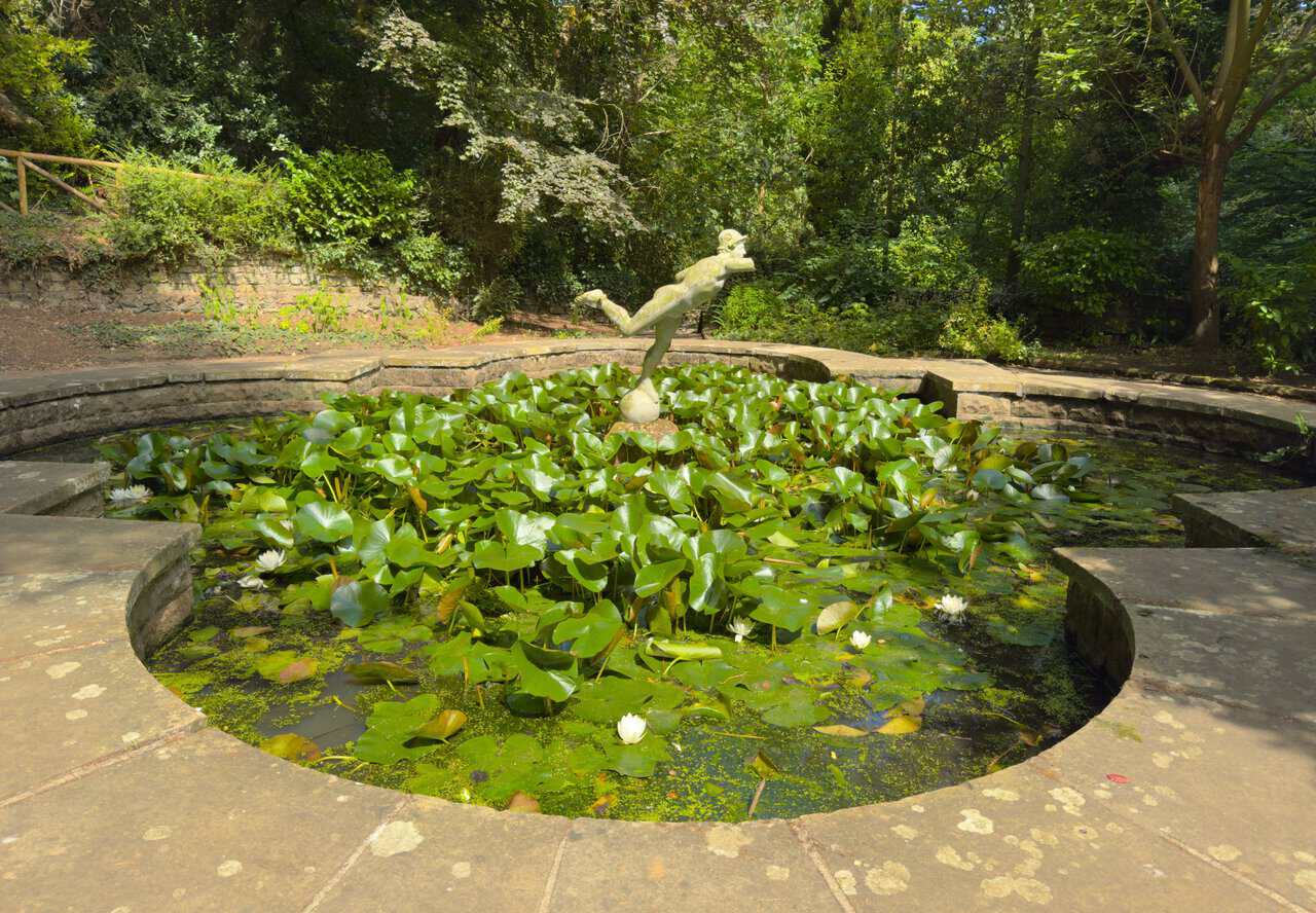 The lily pond in Peasholm Glen on my Scarborough walk, where a weathered figure stands above a raft of lily pads and white flowers.