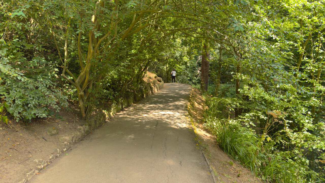 The Tree Trail curving through Peasholm Glen beneath tall trees, passing an outcrop of sandstone beside the path.