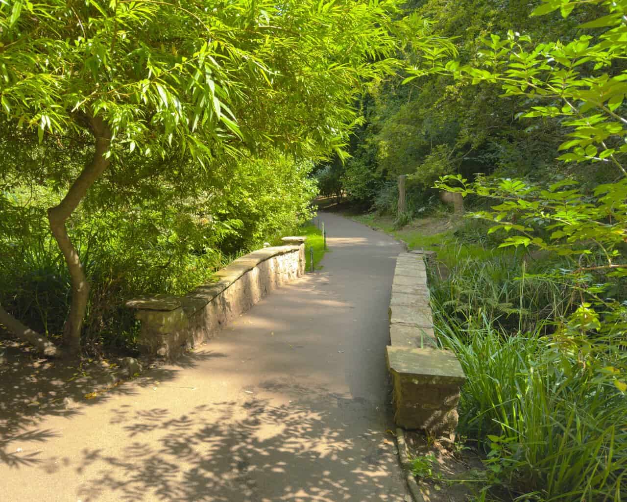 A low stone bridge on my Scarborough walk carries the path over the stream in Peasholm Park, with willow branches leaning across from the bank.