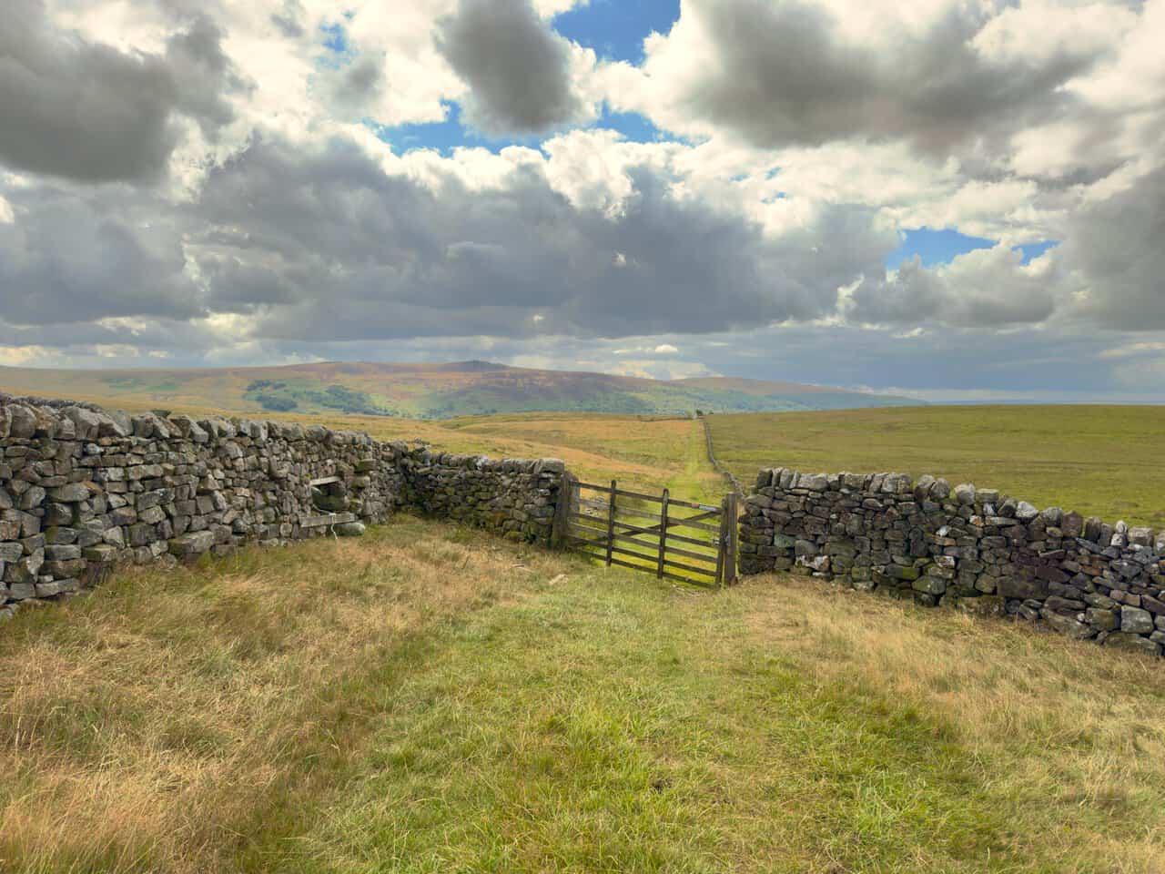 A wooden field gate in a dry stone wall, with the path running away across open moorland towards Barden Fell.