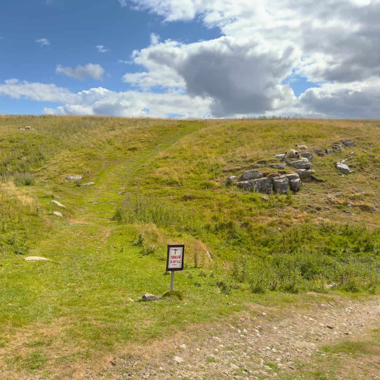 A small hand-painted sign pointing uphill to Troller Ghyll, with sheep resting on limestone outcrops.
