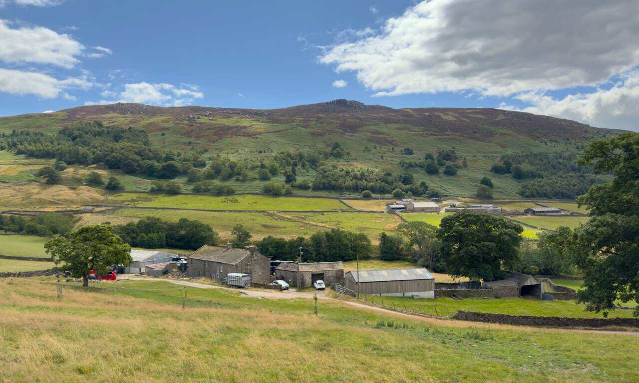 A working farm below the fellside seen from Skyreholme Bank, with Simon's Seat rising behind.