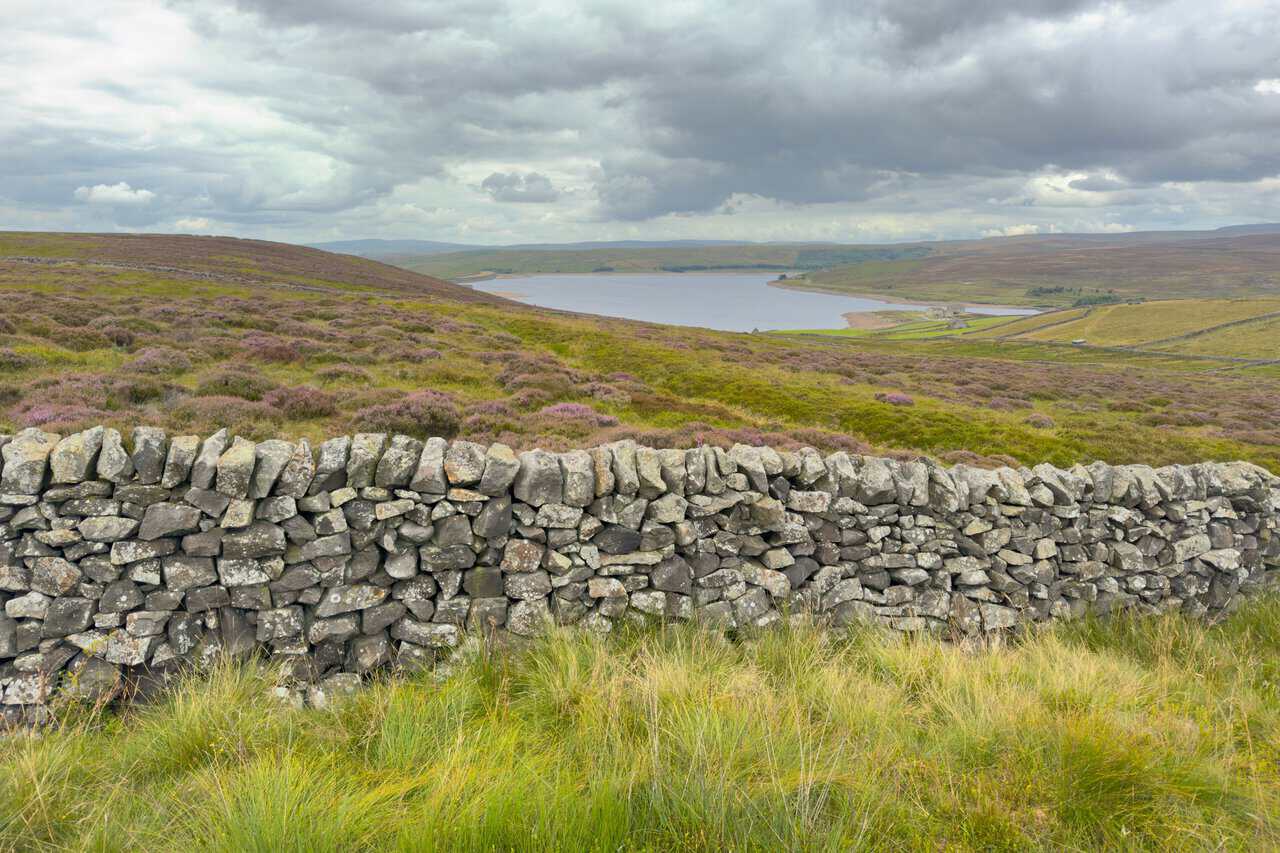 A path running downhill beside a dry stone wall, with flowering heather and the reservoir opening up below.