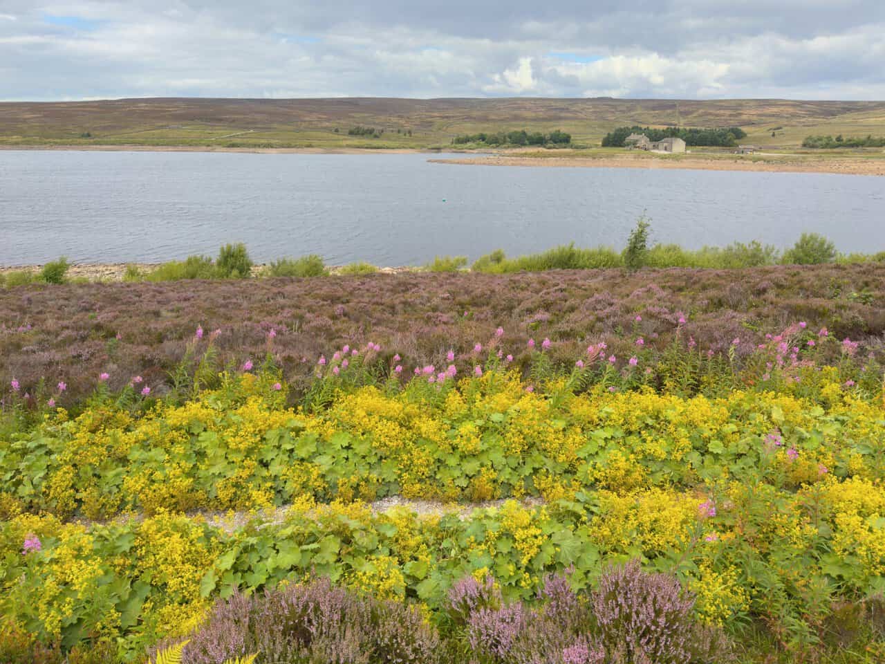 Wide views over Grimwith Reservoir from the waterside path near the end of the Trollers Gill walk.