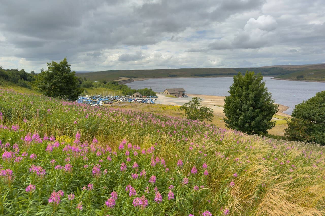 Dinghies drawn up beside the clubhouse and slipway at Yorkshire Dales Sailing Club, with rosebay willowherb in the foreground. This is near the end of my Trollers Gill walk.
