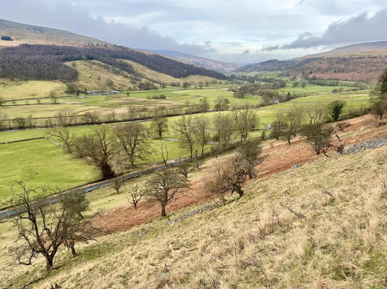 Fields, trees and wooded hillsides in Upper Wharfedale, seen from the path along Buckden Rake.