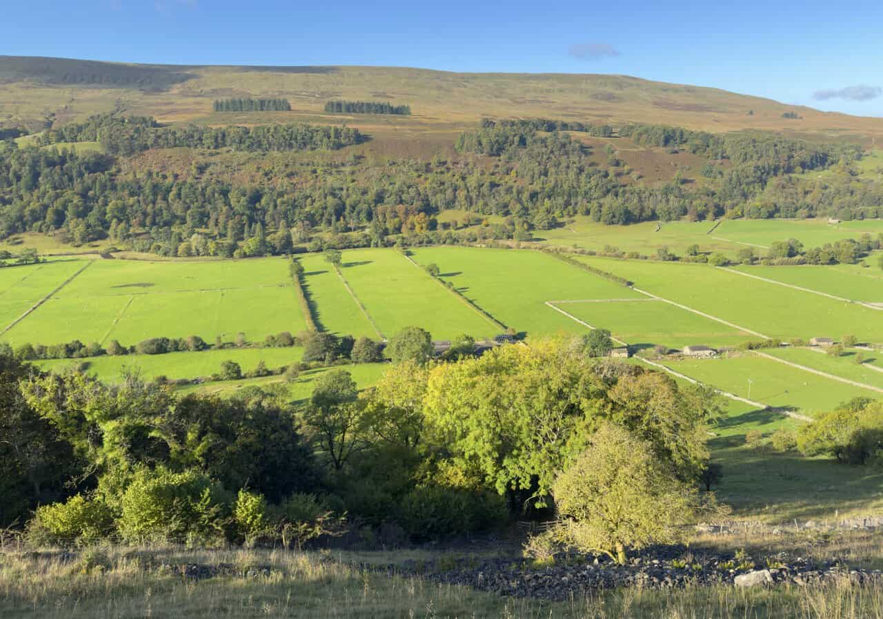 Green walled fields of Upper Wharfedale, with woodland and the moorland slopes of Birks Fell beyond.