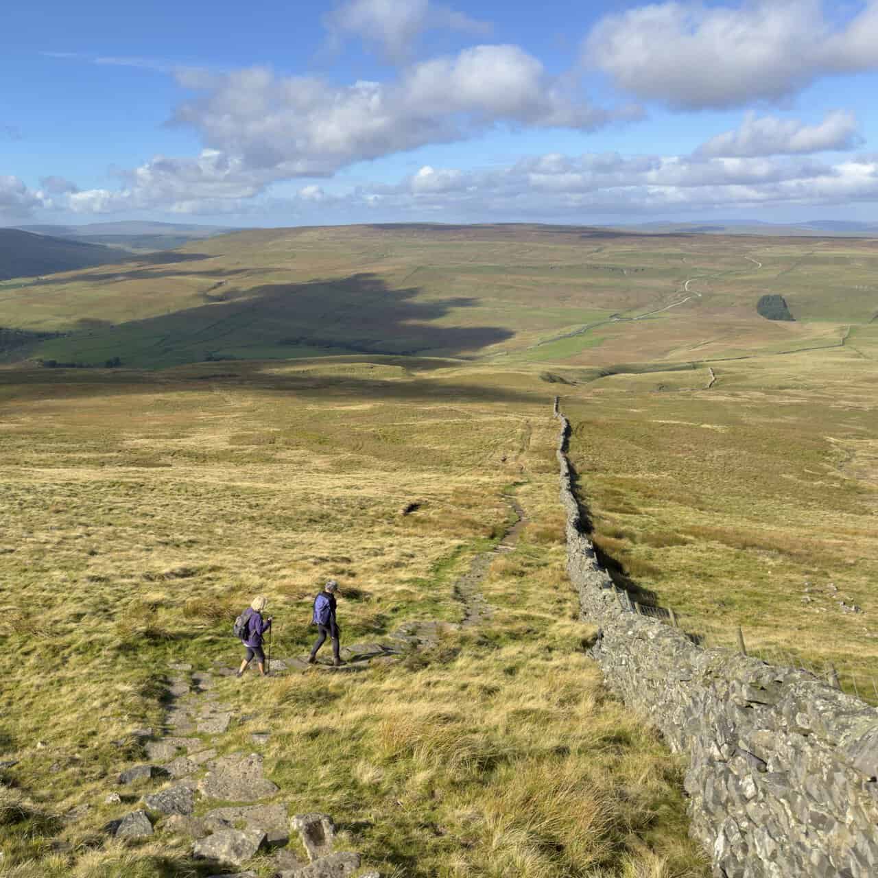 Two walkers descending from Buckden Pike beside a long dry-stone wall across Buckden Out Moor.