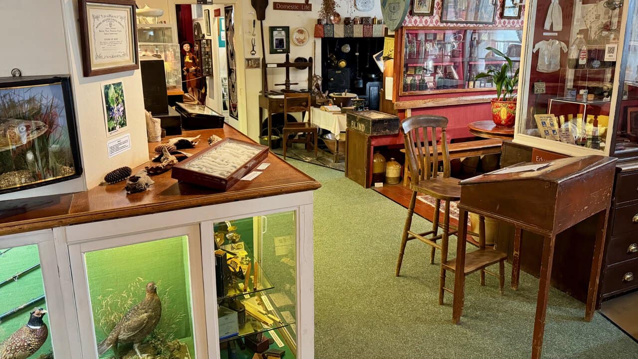 The Home, School and Pub Snug Room, with stuffed moorland birds in a glass case, a schoolroom desk and stool, and a Victorian kitchen range in the background.