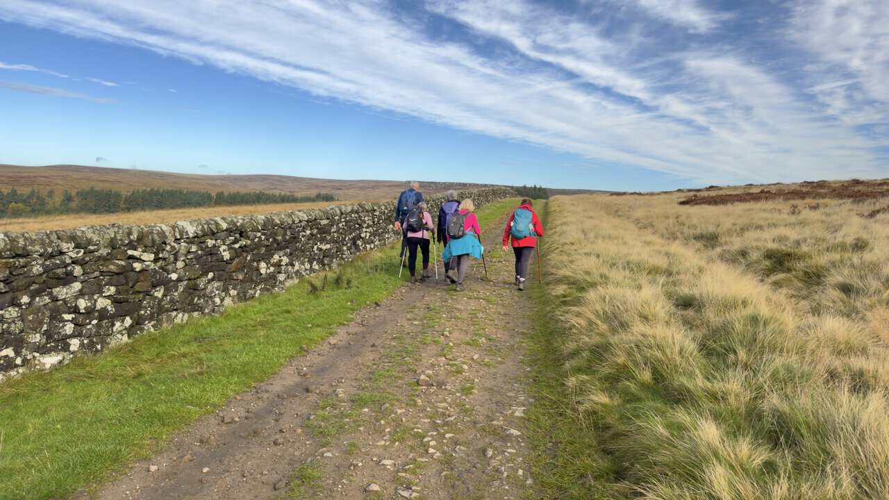 Five walkers on a stony moorland track beside a lichen-covered dry-stone wall, under a blue sky with wispy cloud.