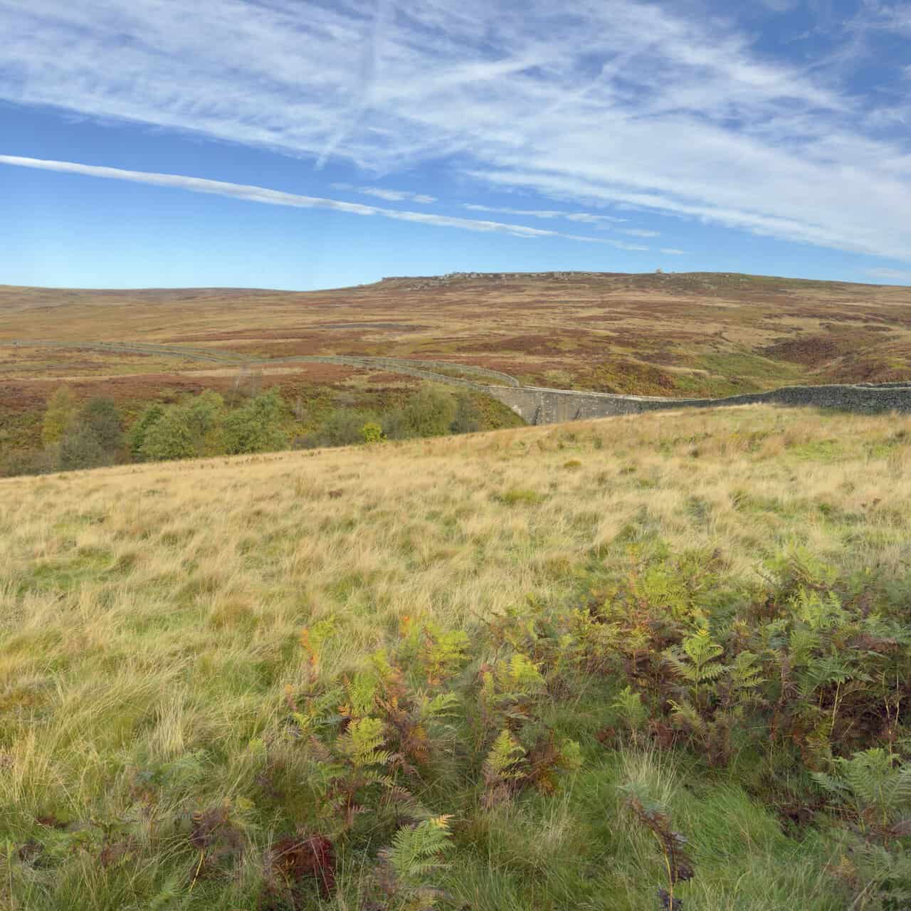 Sypeland Crags on the skyline above autumn moorland, with dry-stone walls winding across Fountains Earth Moor.