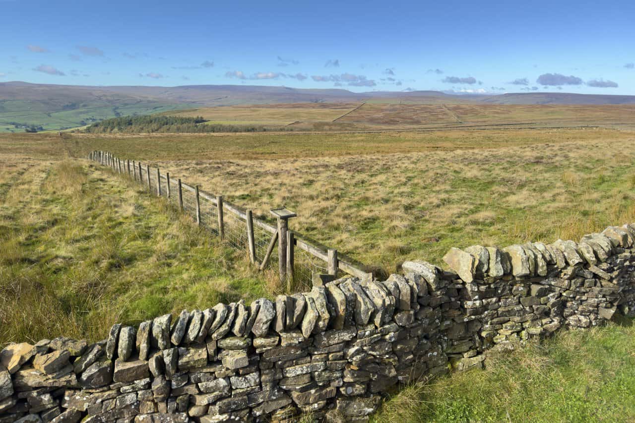 A dry-stone wall and wooden fence crossing open moorland on the Ramsgill walk, with Great Whernside and other distant hills on the horizon.