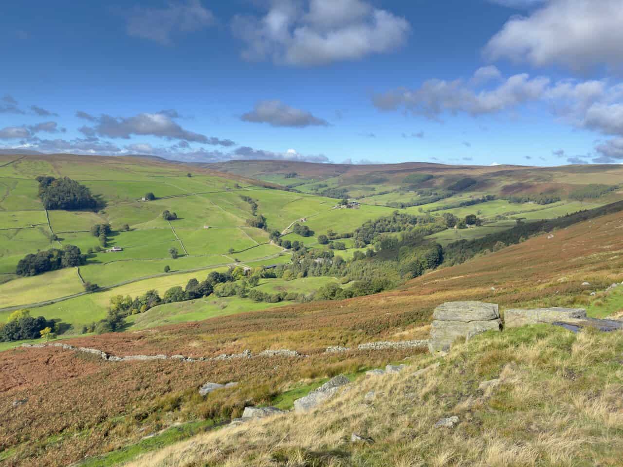 Green walled fields, trees and field barns in Nidderdale, seen from the gritstone boulders of Thrope Edge on the Ramsgill walk.