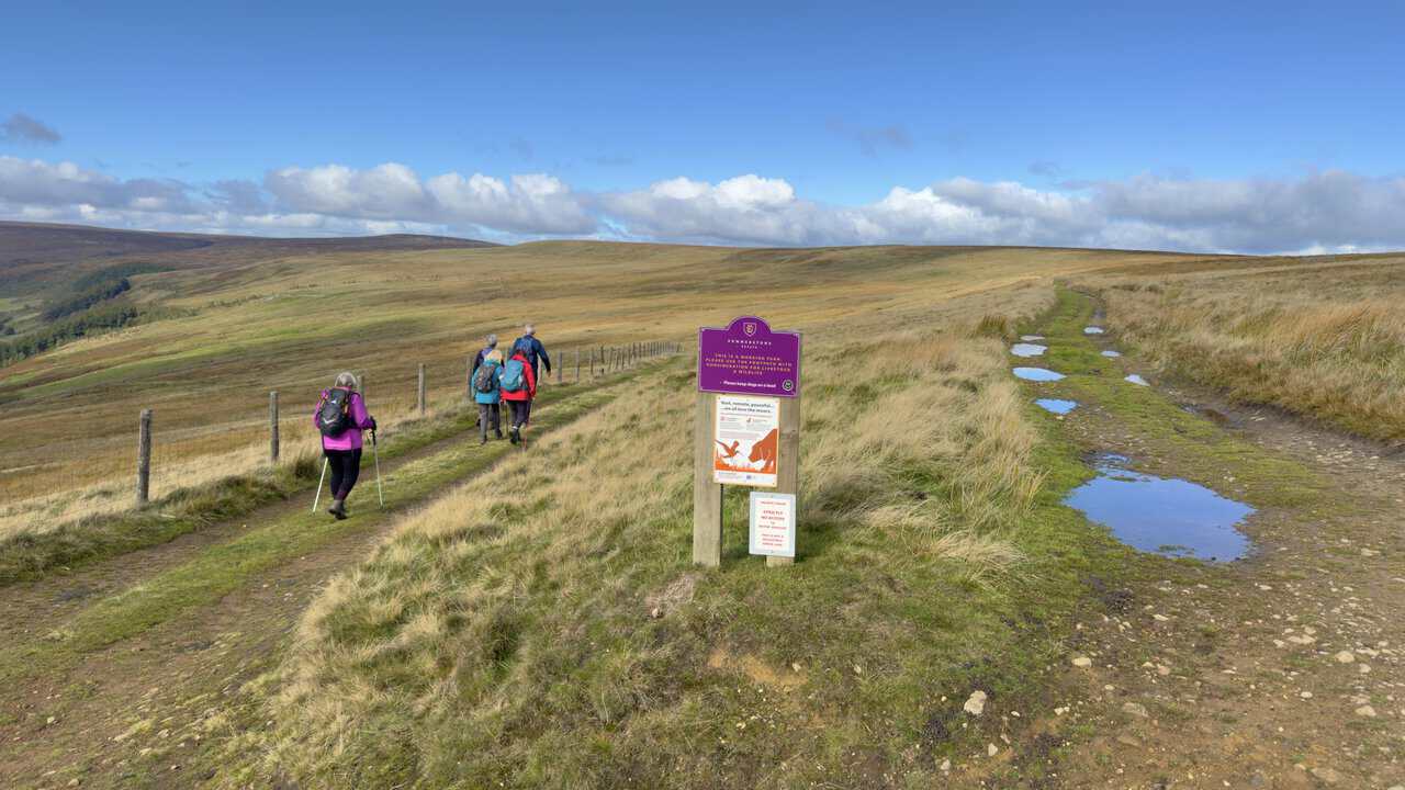 Walkers taking the left fork of a moorland track beside a fence, with Summerstone Estate signs at the junction.