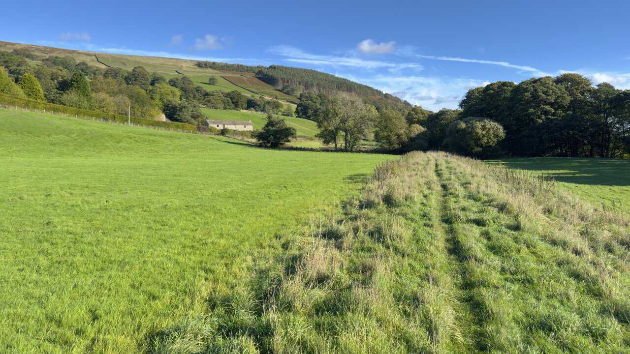 A faint grassy path across a sunlit field on the final stretch of the Ramsgill walk, heading towards a stone farmhouse and wooded hillside.